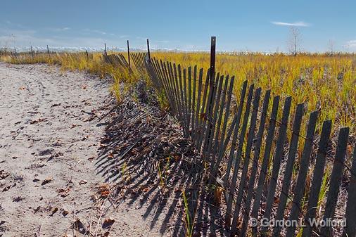 Dune Fence_09147.jpg - Presqu'ile Provincial Park photographed near Brighton, Ontario, Canada.